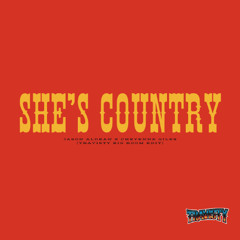 Jason Aldean x Cheyenne Giles - She's Country (Travisty Big Room Edit) (126-88-126)