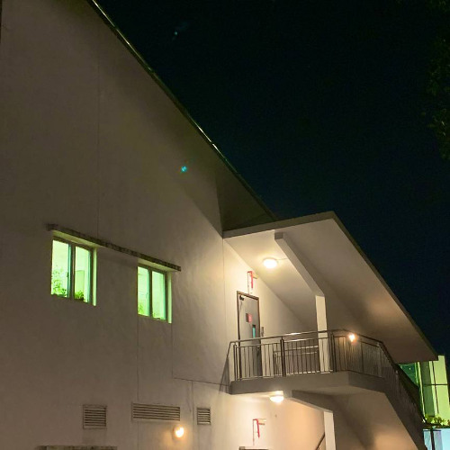 help me for they took my store bought tacos