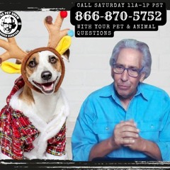 The Pet Show 122323 HR2
