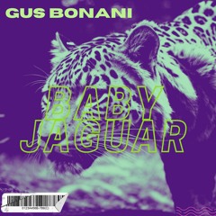 Gus Bonani - Baby Jaguar (original mix) [Bandcamp]