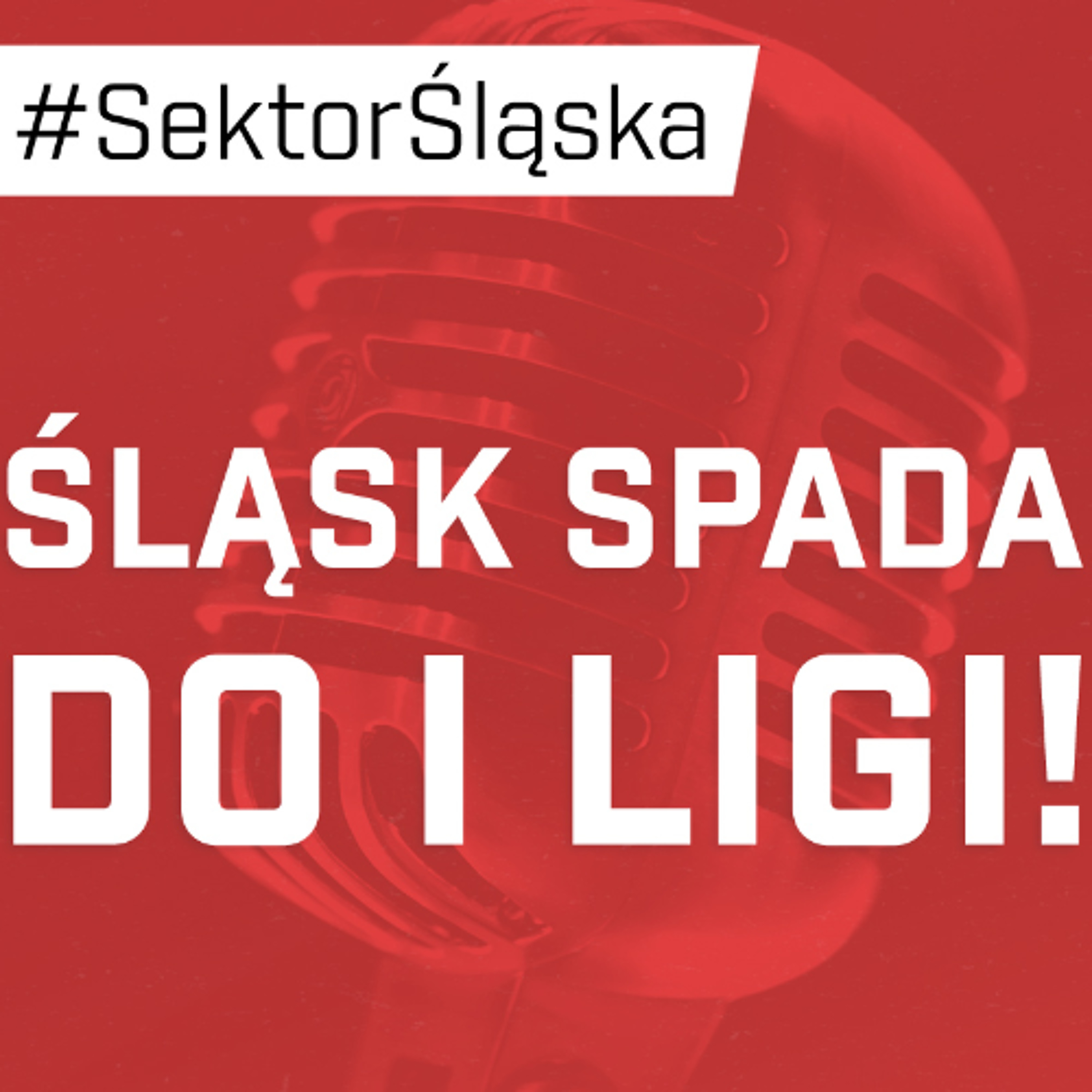 Śląsknet