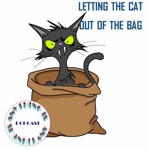 Stream episode Ep. 08: let the cat out of the bag by anything is anything  podcast with barry johnson podcast | Listen online for free on SoundCloud