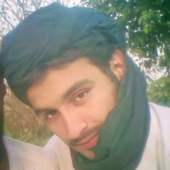 Wa Wrora Pukhtoona by Musharaf Bangash