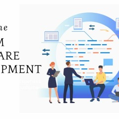 What Is The Custom Software Development Lifecycle