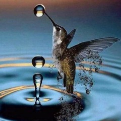 Drop Of Water
