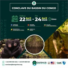 “Conclave du Bassin du Congo”, préserver le patrimoine naturel et maintenir l'équilibre écologique