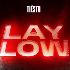 Tiesto - Lay Low (Adrian Mønteiro Remix)