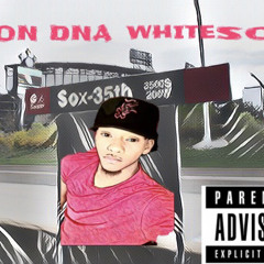 Southside White Sox