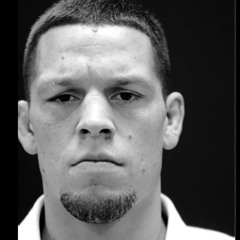 "Stephanie had walked, and killed herself on the freeway" Nate Diaz Audio