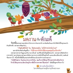 109 มดงานกับดักแด้
