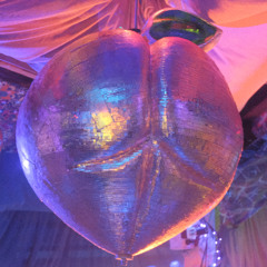 Parallel Dimensions @ Camp Peachy - NYE 2024/2025