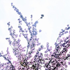 Luminescence