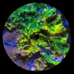 GTG Premiere | MEDLEX - Squad [XVA5Y]