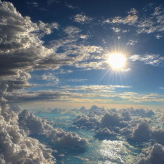 Seth Be-Spring mix 1 (healthy)_2026