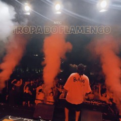MTG - TROPA DO FLAMENGO, CHEFIN, FP DELAS (@djmlgonçalves,@djlddafavelinha)