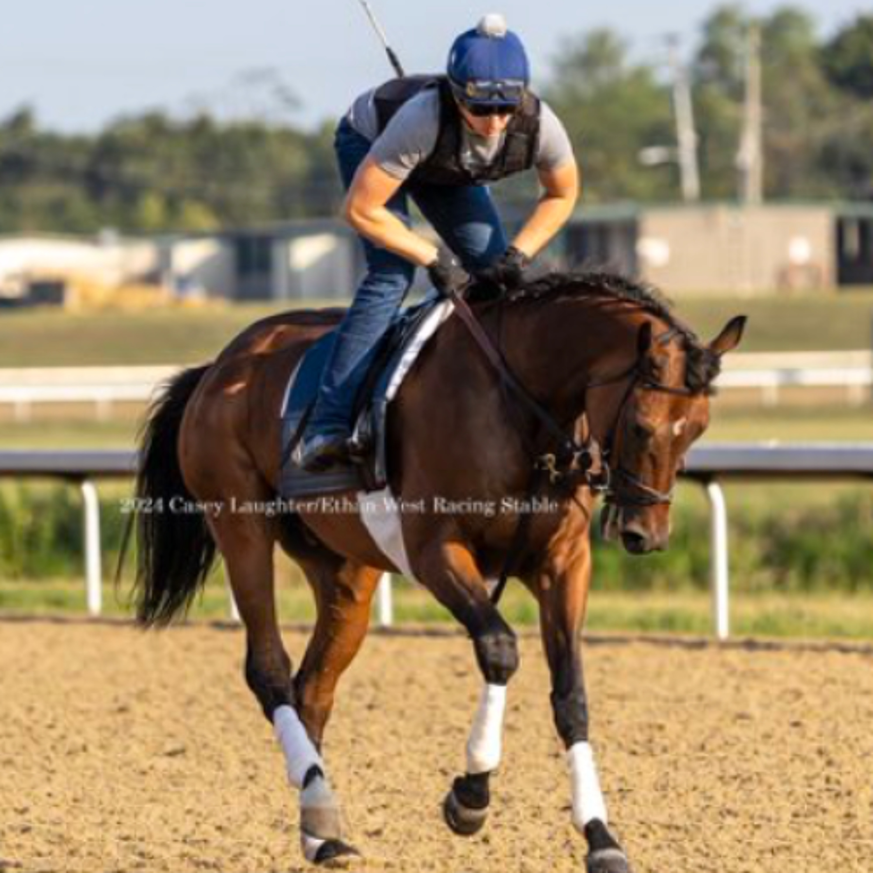 The Auxiliary Gate - Kentucky\'s Horse Racing Discussion