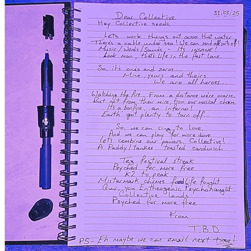 Dear Collective-The Beautiful Dark/Eclectic Collective
