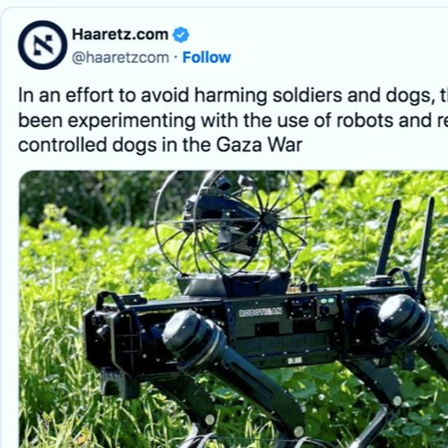 So They're Experimenting With Military Robots In Gaza Now