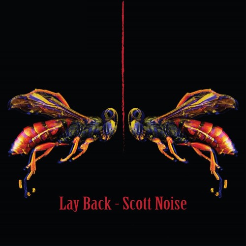 Lay Back - Scott Noise (Free Download)