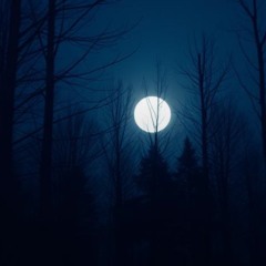 We Move In The Night