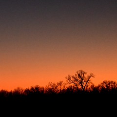 ShewillbePretty_ft.Francene