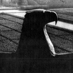 Wollt Ihr den Totalen Krieg