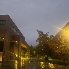 lazer dim 700 - beachside [chromerax flip]