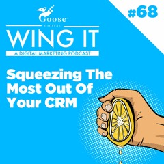 Squeezing The Most Out Of Your CRM - Wing It Podcast Episode 68