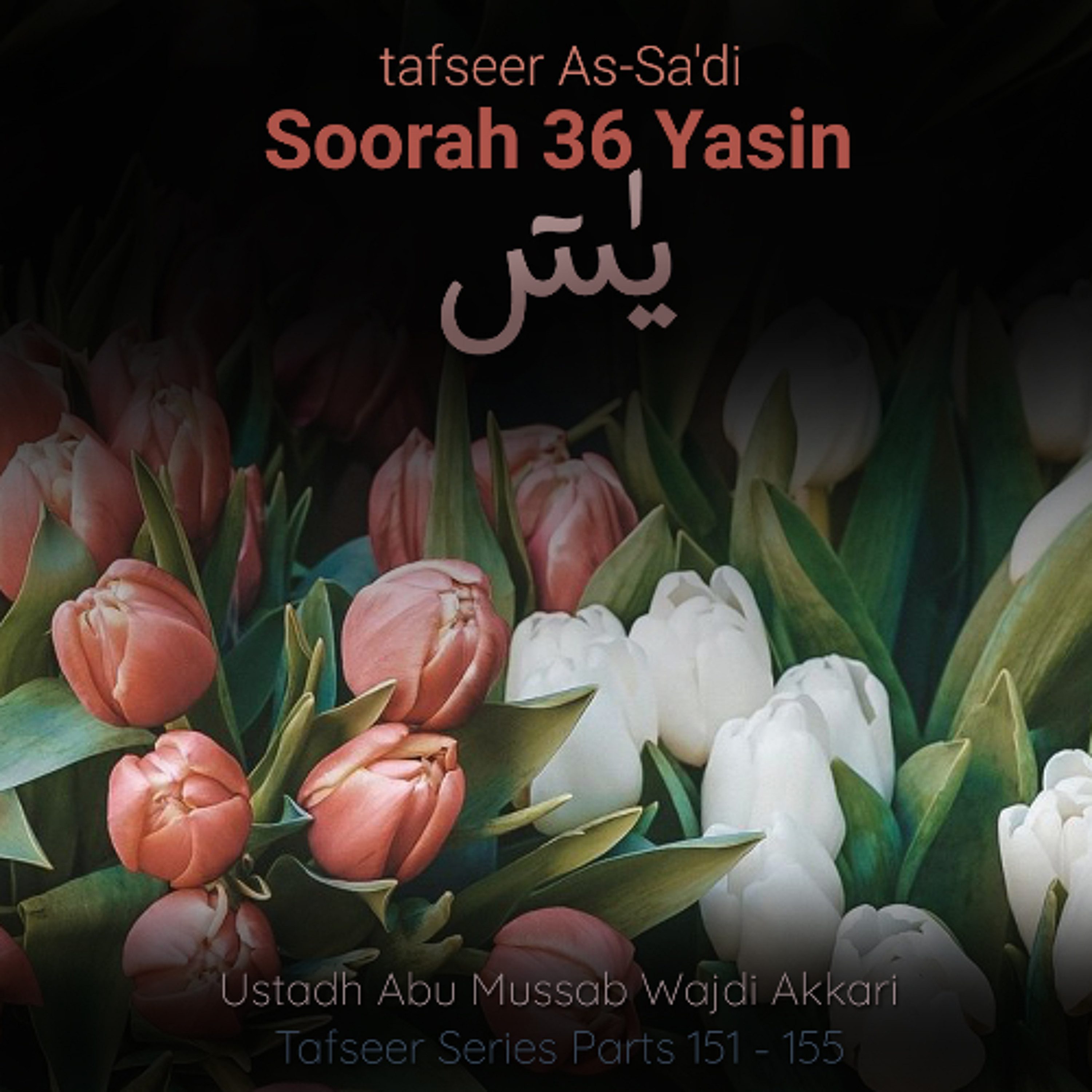 tfsrOWTP#152 - Tafseer As-Sa'di - Soorah Ya-Seen   Aayat 13-32   Abu Mussab Wajdi Akkari episode artwork