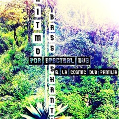 9 Ritmo Bass Shanti - Elemental Dubs Unity Style ReWork