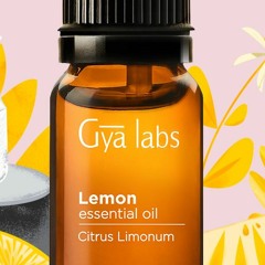 Sparta GYA Base CTE V2