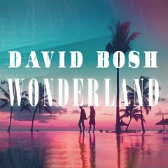 Wonderland by David Bosh
