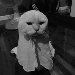 Canh Ve - Lac Mong Di Em - Swag Rmx