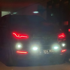 Panda.1GD