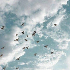 تلاوات القارئ عبد الرحمـٰن السويّد