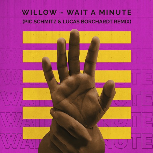 WILLOW - Wait A Minute (Pic Schmitz & Lucas Borchardt Remix)
