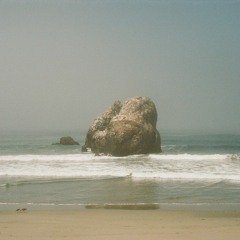 Treehouse By The Sea