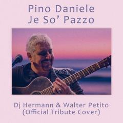 Dj Hermann & Walter Petito - Je So' Pazzo (Pino Daniele Tribute)