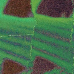 lil peep x lil tracy x thouxanbanfauni - mask off