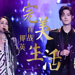 肖战&那英 - 完美生活