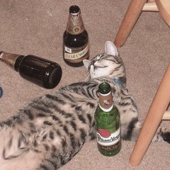 warak - 철거예정 pluggnb flip