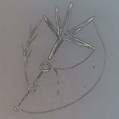 Tales Of The Expected