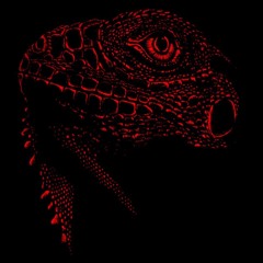 [PREMIERE] TRANZ - Born In Red