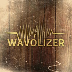 Wavolizer - 10 Years DJ Tool