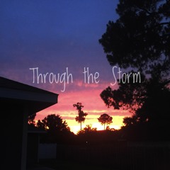 Through The Storm (interlude)