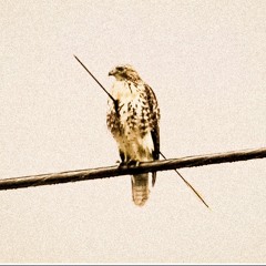 BETTER THAN (og version)