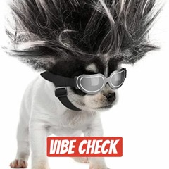 Vibe Check (Wook Mix)