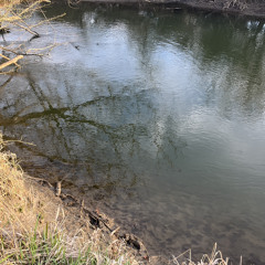 All Good - Aussähen