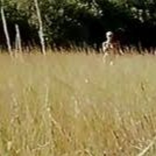 Stream Sexuele Voorlichting 1991 Onlinel by Borissharovrjh | Listen