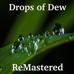 Drops Of Dew